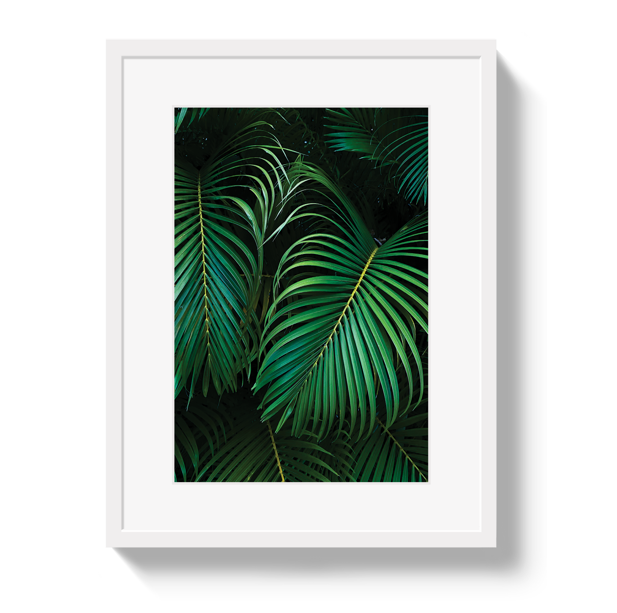 Palm by Johnny Vacay - main product image for Resin Society