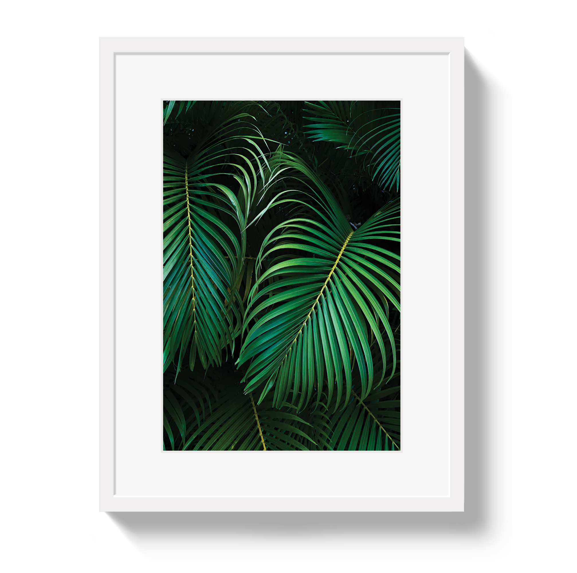 Palm by Johnny Vacay - main product image for Resin Society