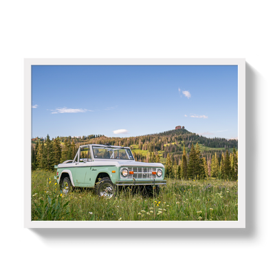 Bronco View 2 by Johnny Vacay - product image 5 for Resin Society
