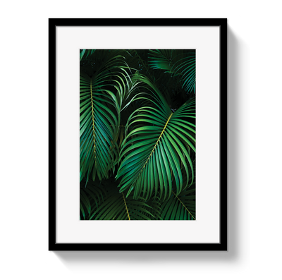 Palm by Johnny Vacay - product image 2 for Resin Society