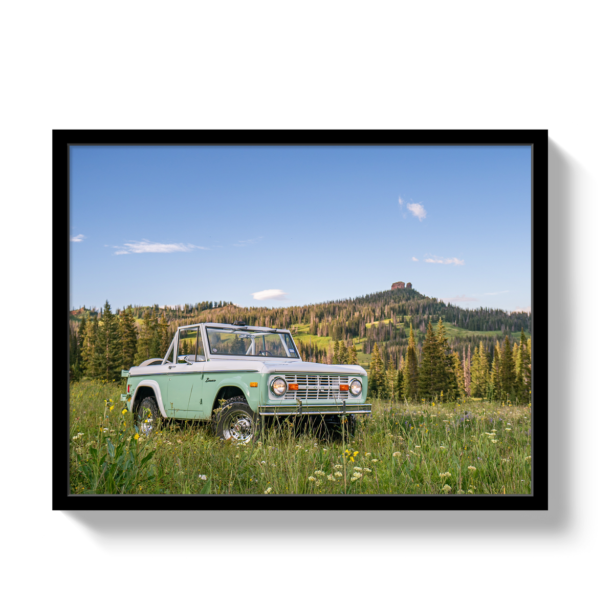 Bronco View 2 by Johnny Vacay - product image 4 for Resin Society
