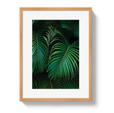 Palm by Johnny Vacay - product image 3 for Resin Society