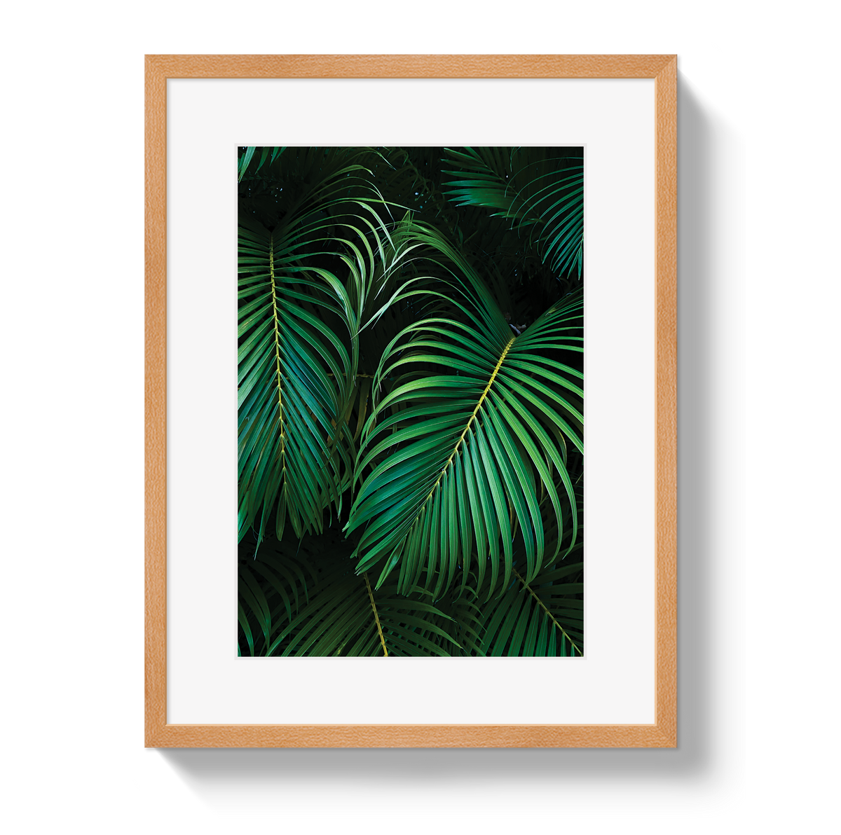 Palm by Johnny Vacay - product image 3 for Resin Society
