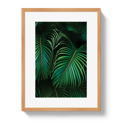 Palm by Johnny Vacay - product image 3 for Resin Society