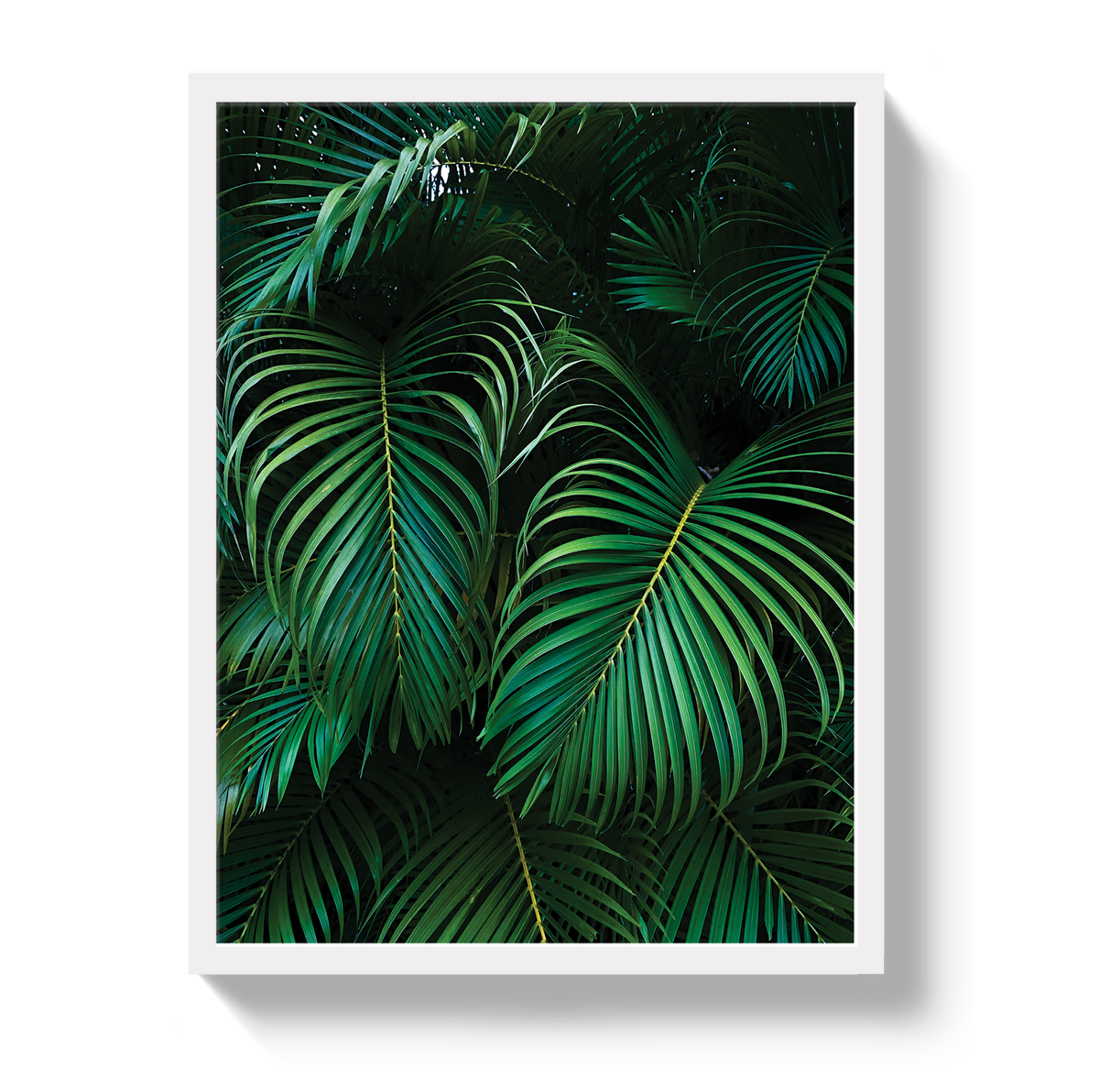 Palm by Johnny Vacay - product image 4 for Resin Society