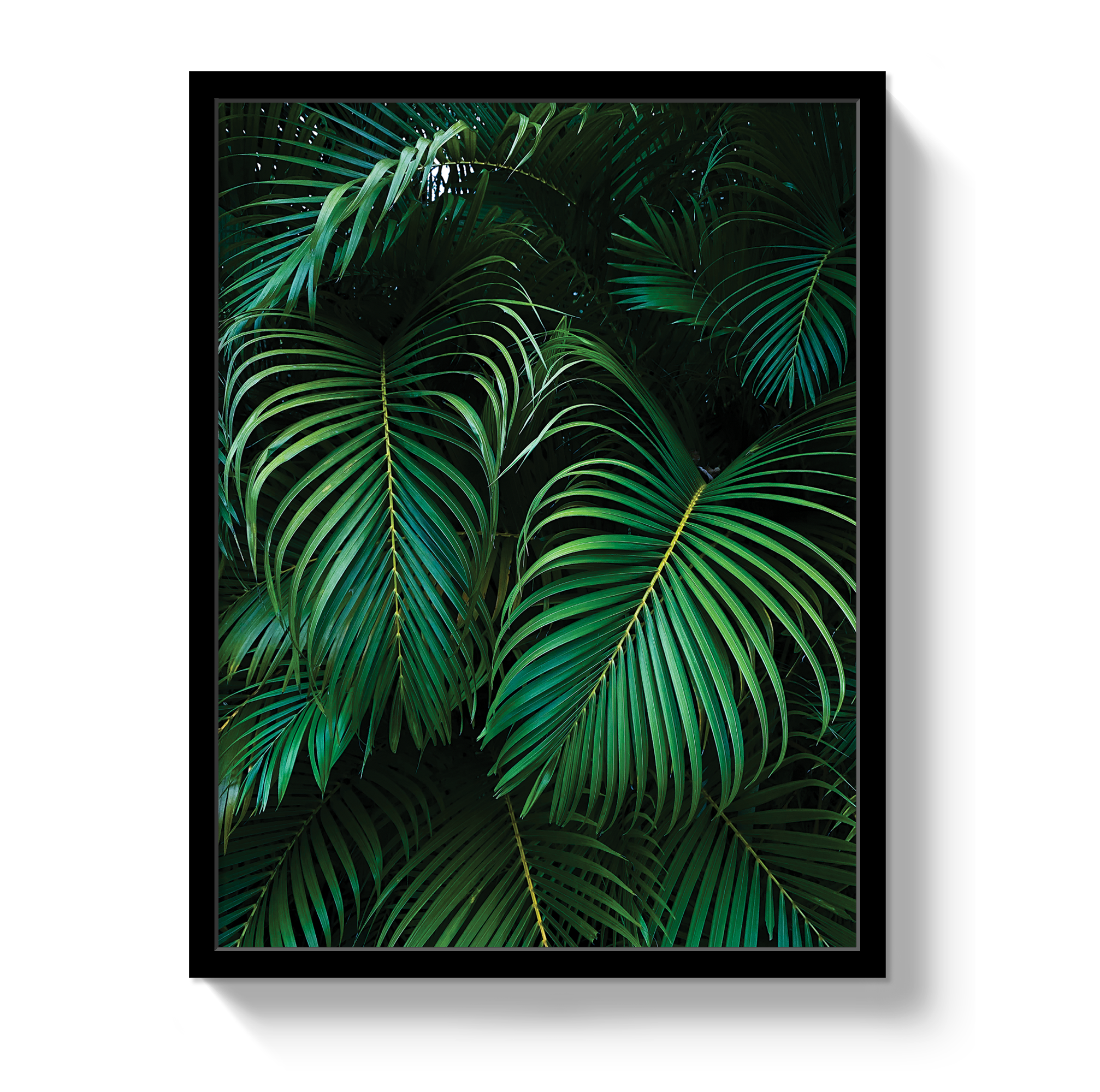 Palm by Johnny Vacay - product image 5 for Resin Society