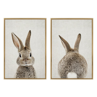 Sylvie Bunny Portrait and Bunny Tail Framed Canvas Art Set by Amy Peterson Art Studio