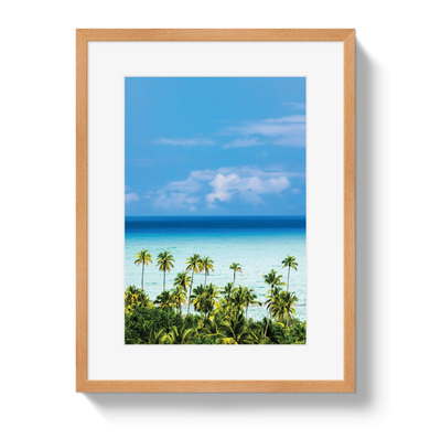Dominican Dream by Johnny Vacay - product image 3 for Resin Society