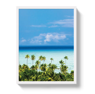 Dominican Dream by Johnny Vacay - product image 5 for Resin Society