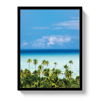 Dominican Dream by Johnny Vacay - product image 4 for Resin Society