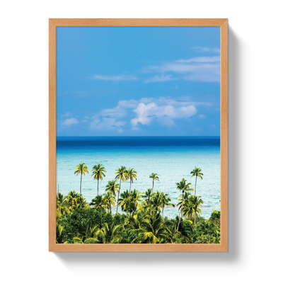Dominican Dream by Johnny Vacay - product image 6 for Resin Society