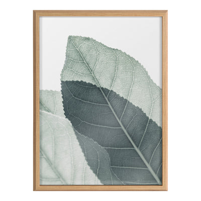 Blake Modern Green Leaf Botanical II Framed Printed Glass by The by kateandlaurel - product image 2 for Resin Society