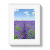 Lavender Fields 2 by Johnny Vacay - product image 2 for Resin Society