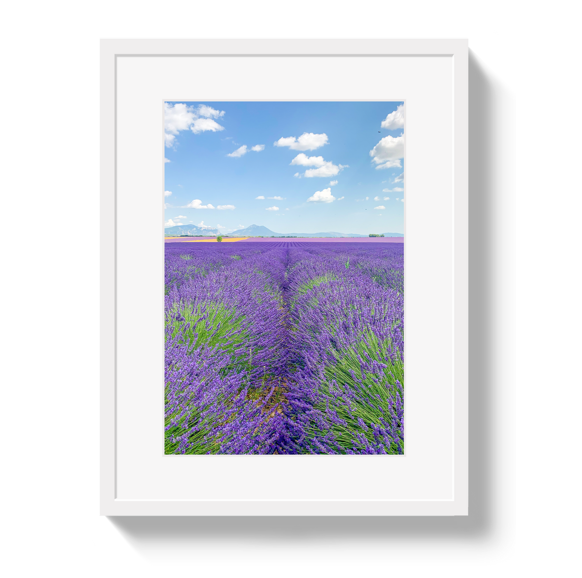 Lavender Fields 2 by Johnny Vacay - product image 2 for Resin Society