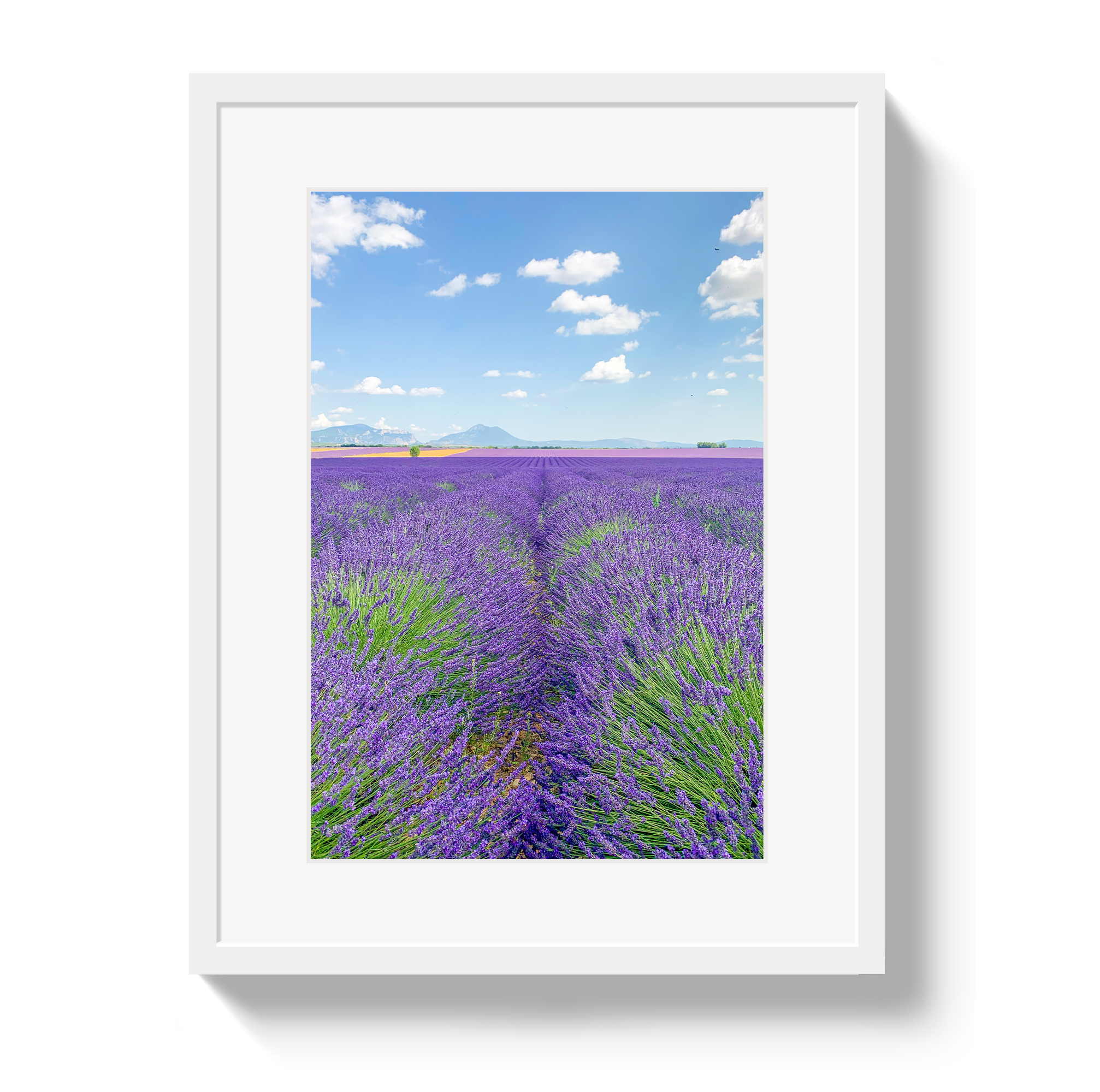 Lavender Fields 2 by Johnny Vacay - product image 2 for Resin Society