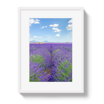Lavender Fields 2 by Johnny Vacay - product image 2 for Resin Society