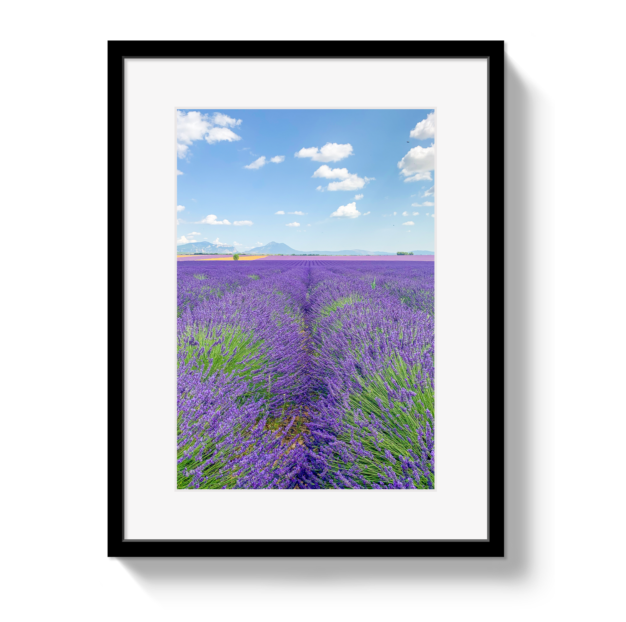 Lavender Fields 2 by Johnny Vacay - main product image for Resin Society
