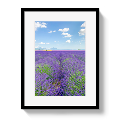 Lavender Fields 2 by Johnny Vacay - main product image for Resin Society