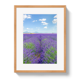 Lavender Fields 2 by Johnny Vacay - product image 3 for Resin Society