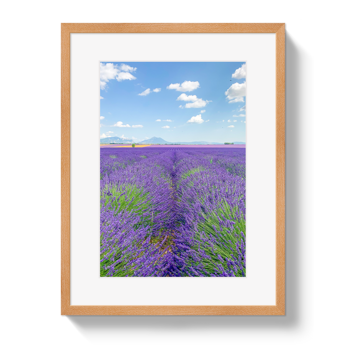 Lavender Fields 2 by Johnny Vacay - product image 3 for Resin Society