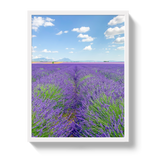 Lavender Fields 2 by Johnny Vacay - product image 5 for Resin Society