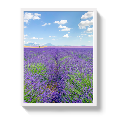 Lavender Fields 2 by Johnny Vacay - product image 5 for Resin Society