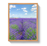 Lavender Fields 2 by Johnny Vacay - product image 6 for Resin Society