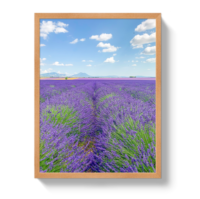 Lavender Fields 2 by Johnny Vacay - product image 6 for Resin Society