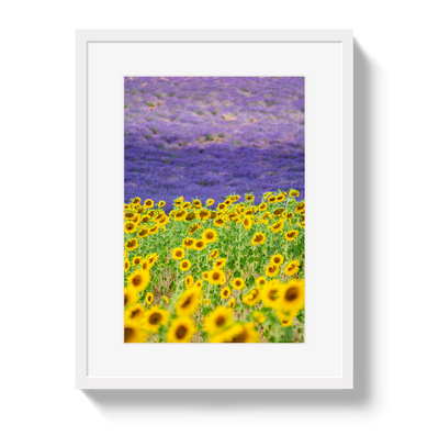 Sun and Lavender by Johnny Vacay - product image 2 for Resin Society