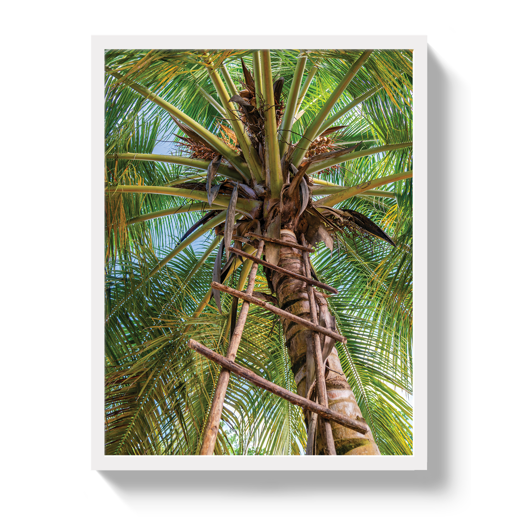 Corporate Ladder by Johnny Vacay - product image 5 for Resin Society