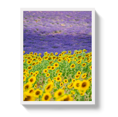Sun and Lavender by Johnny Vacay - product image 5 for Resin Society