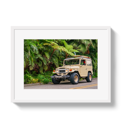 Tropical FJ by Johnny Vacay - product image 2 for Resin Society