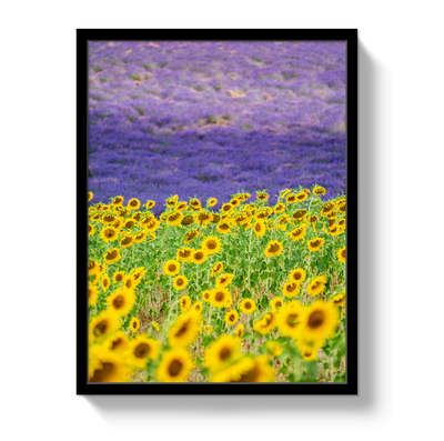 Sun and Lavender by Johnny Vacay - product image 4 for Resin Society