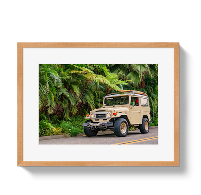 Tropical FJ by Johnny Vacay - product image 3 for Resin Society