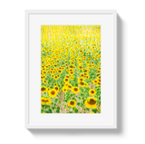 Provence Sunflowers by Johnny Vacay - product image 2 for Resin Society