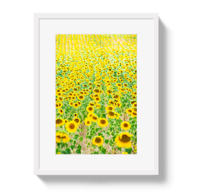 Provence Sunflowers by Johnny Vacay - product image 2 for Resin Society