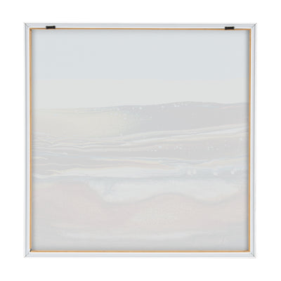Blake Sonoran Desert Framed Printed Art by Xizhou Xie