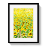 Provence Sunflowers by Johnny Vacay - main product image for Resin Society