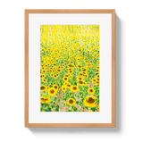 Provence Sunflowers by Johnny Vacay - product image 3 for Resin Society