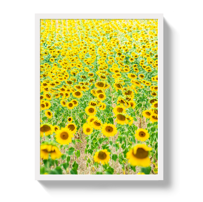 Provence Sunflowers by Johnny Vacay - product image 5 for Resin Society