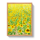 Provence Sunflowers by Johnny Vacay - product image 6 for Resin Society