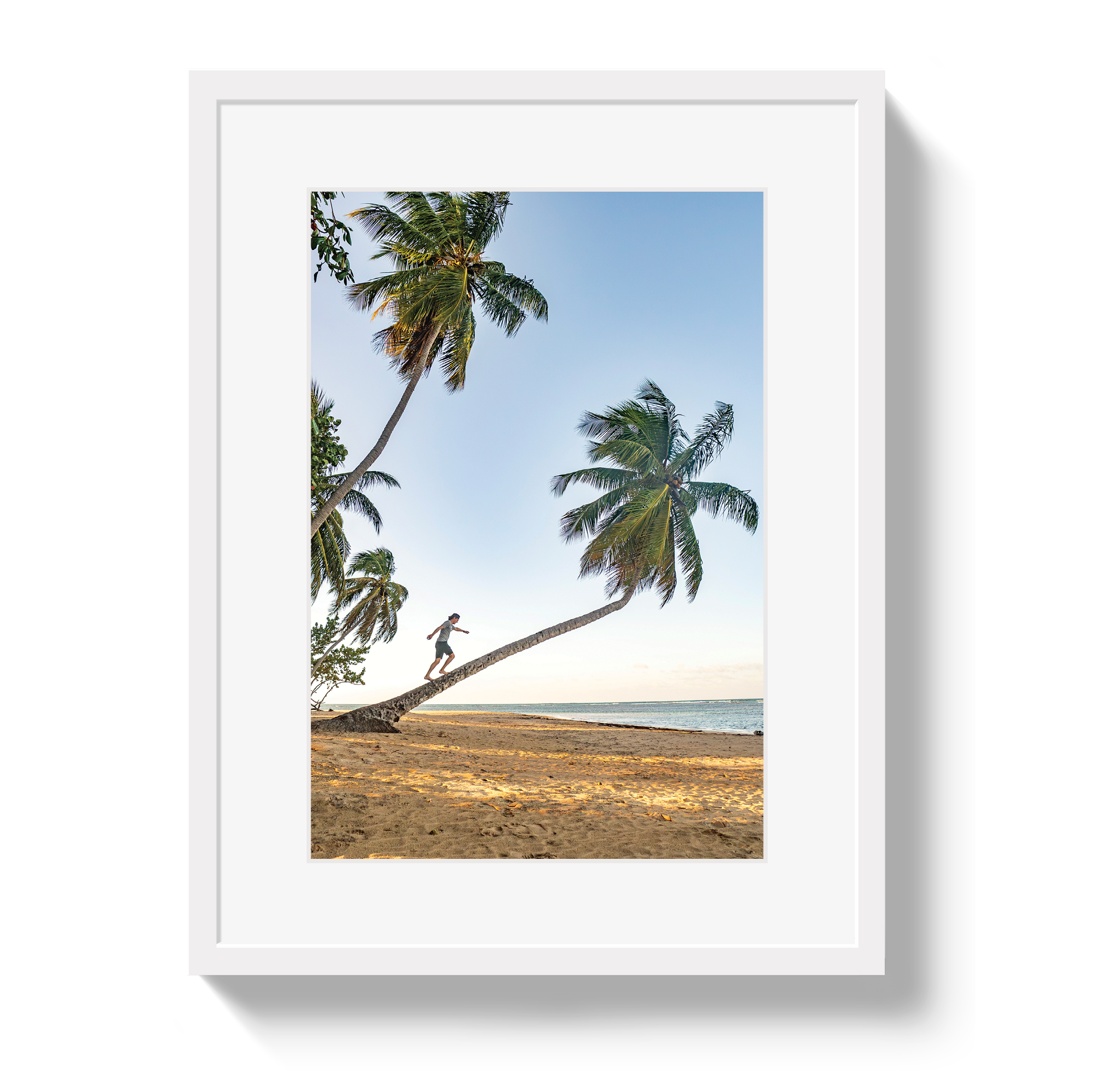 Palm Walk by Johnny Vacay - product image 2 for Resin Society