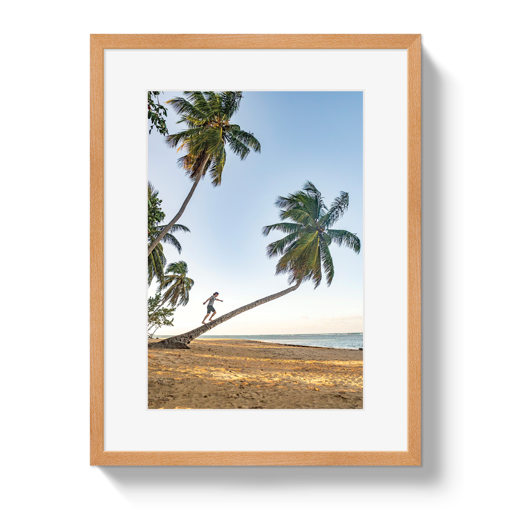 Palm Walk by Johnny Vacay - product image 3 for Resin Society
