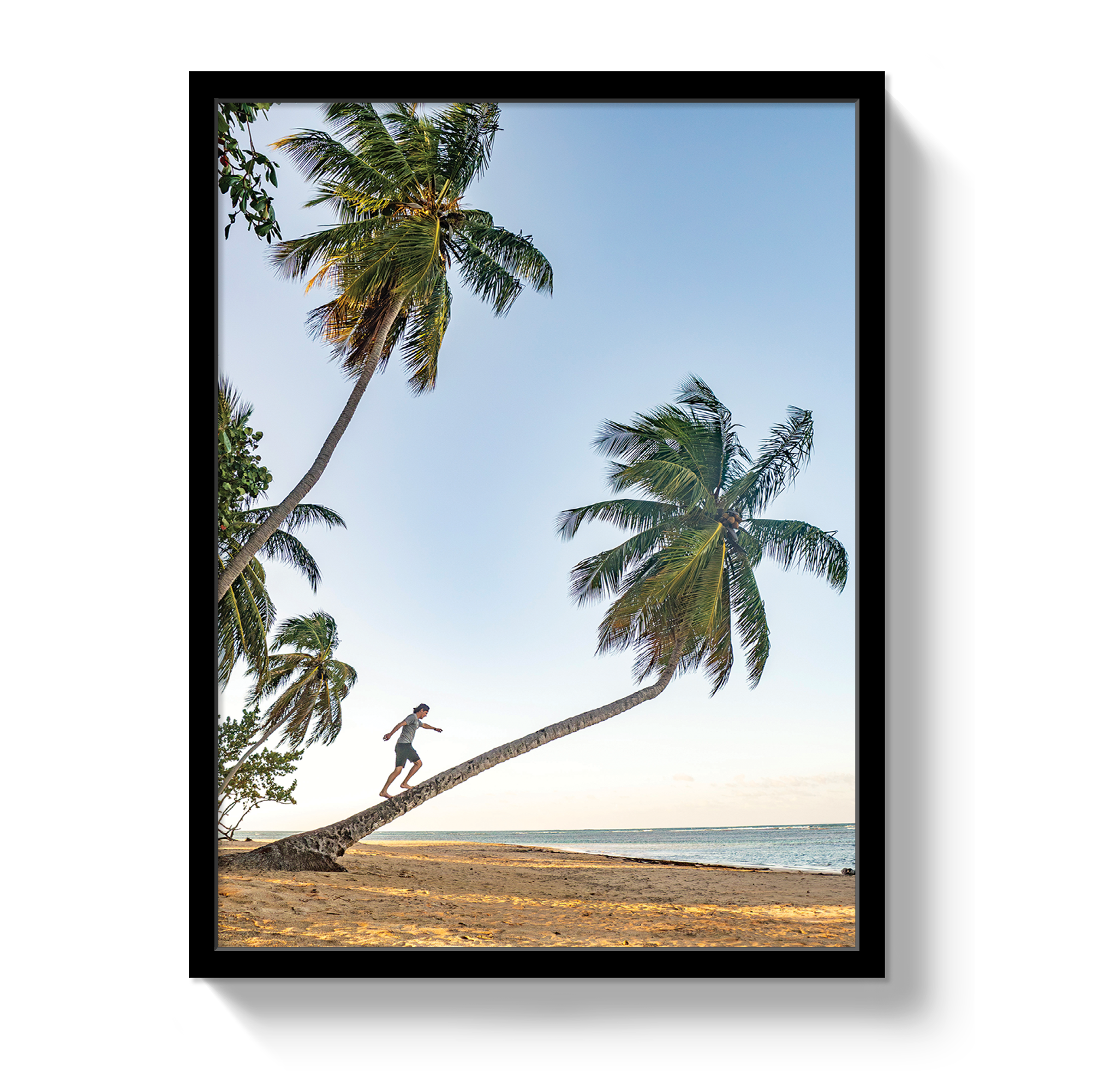 Palm Walk by Johnny Vacay - product image 4 for Resin Society