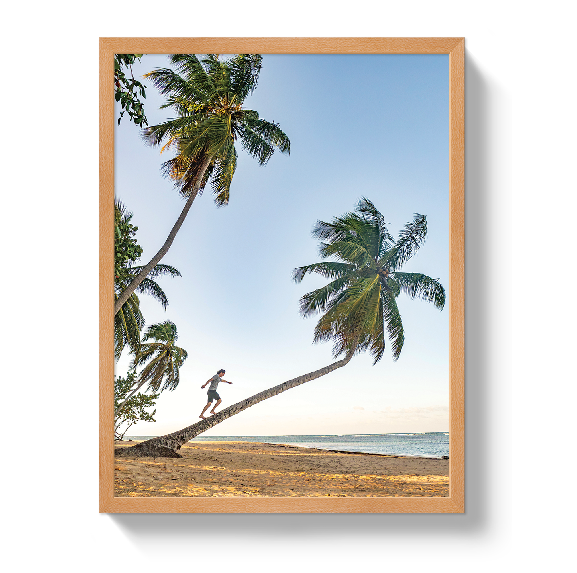 Palm Walk by Johnny Vacay - product image 6 for Resin Society