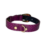 Purple snake-patterned collar with custom gold oval buckle and gold rivets, shown coiled on a white background.