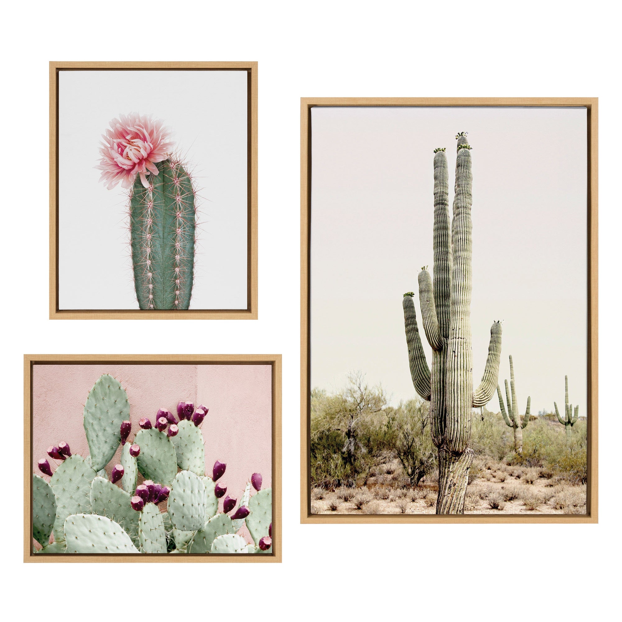 Sylvie Sunrise Cactus, Pink Cactus Flower and Cactus 25 Framed Canvas by kateandlaurel - main product image for Resin Society