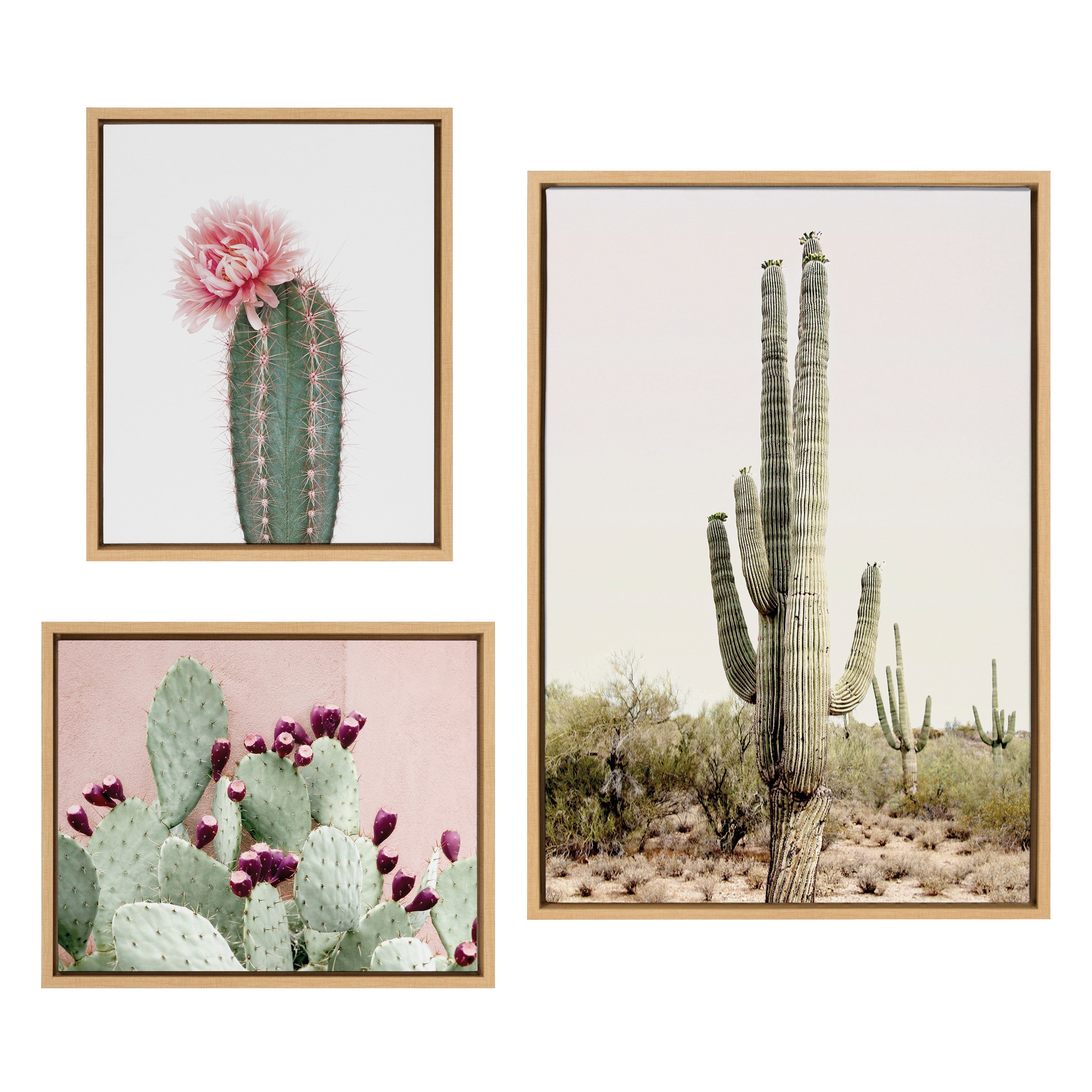 Sylvie Sunrise Cactus, Pink Cactus Flower and Cactus 25 Framed Canvas by kateandlaurel - main product image for Resin Society