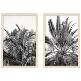 Two framed black-and-white prints of palm leaves with light wood frames, featuring dense, detailed fronds each set against a plain white background.