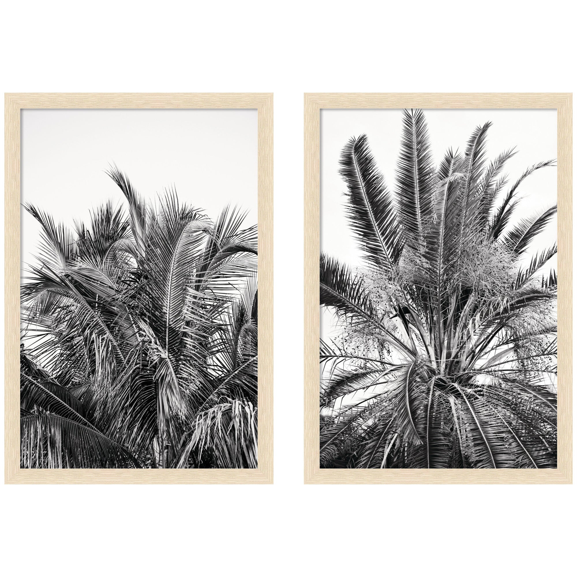 Palm No.
13 & 15 2 Piece Framed Wall Art Print Set by Alicia Bock
